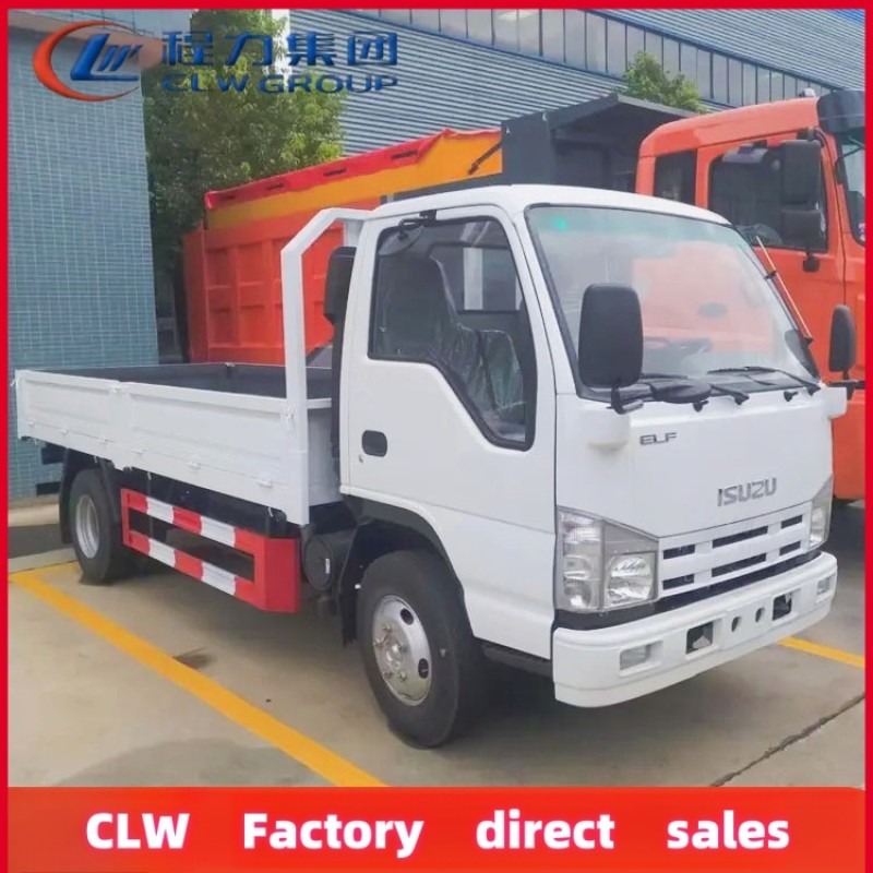 Cargo Truck Factory - Custom 2025 Isuzu 120hp 5 Ton 4x2