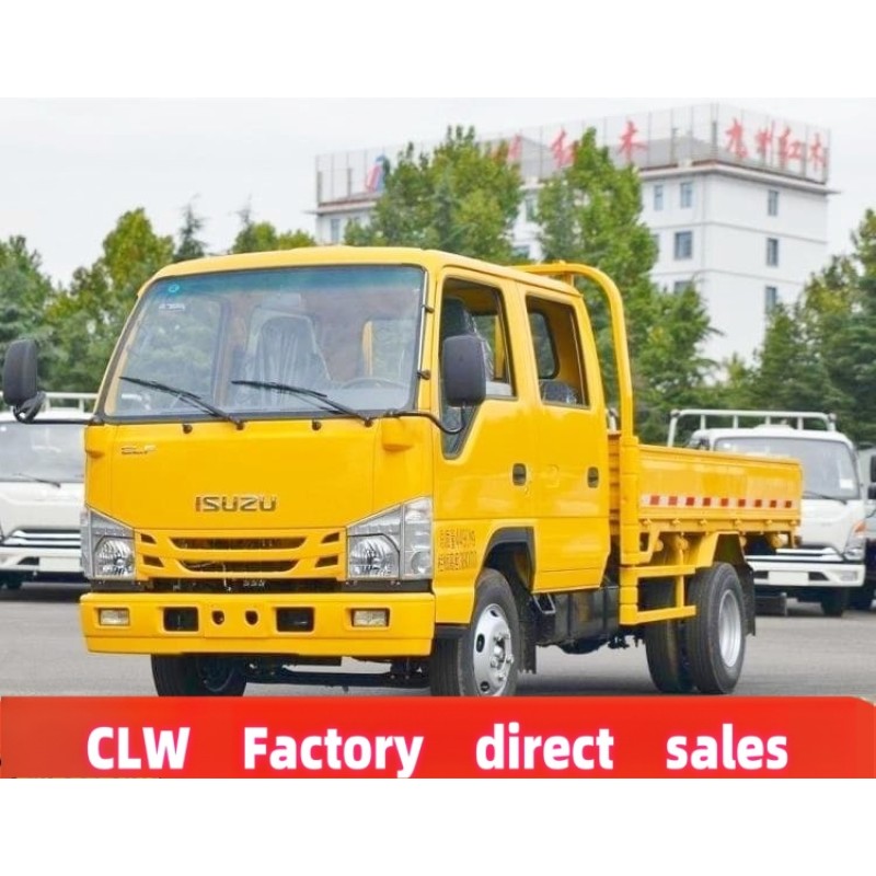 Cargo Truck Factory - Custom Isuzu 4x2 Double Cab 3 Ton