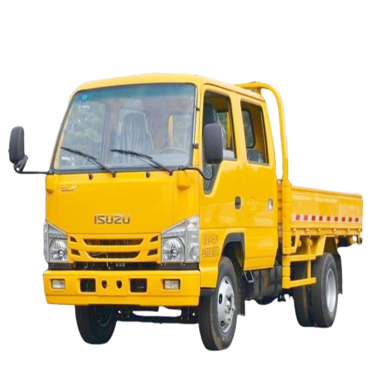 Cargo Truck Factory - Custom Isuzu 4x2 Double Cab 3 Ton