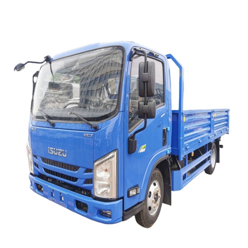 Cargo Truck Factory - Custom 2025 Isuzu 4x2 5T 6T Light Duty