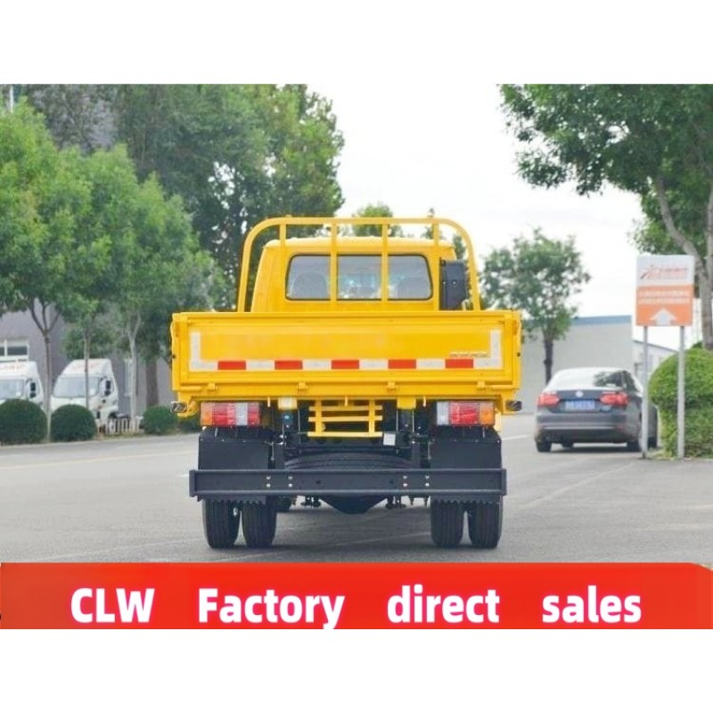 Cargo Truck Factory - Custom Isuzu 4x2 Double Cab 3 Ton