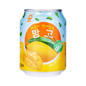 Chicory Nine Day Mango Juice Beverage in Bottle Packaging