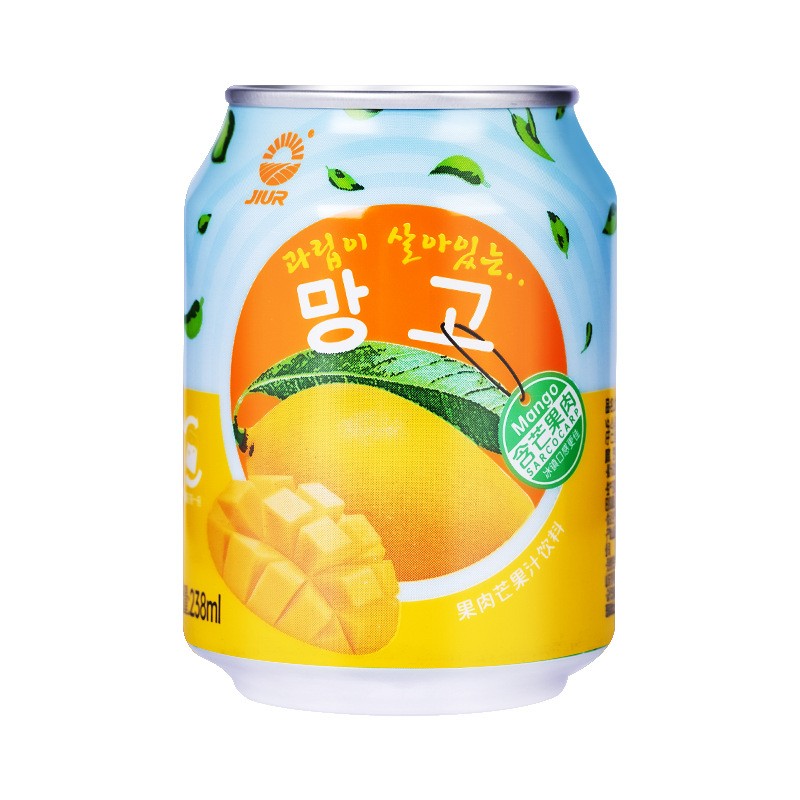 Chicory Nine Day Mango Juice Beverage in Bottle Packaging
