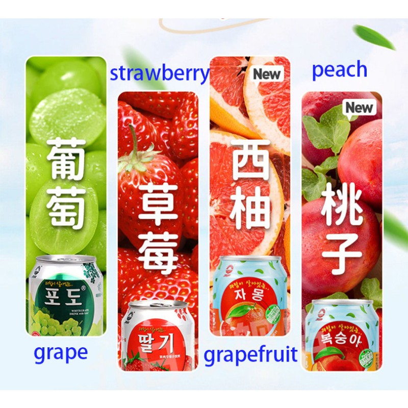 Nine Day Chicory Grapefruit Juice Beverage Packaged in Bottle