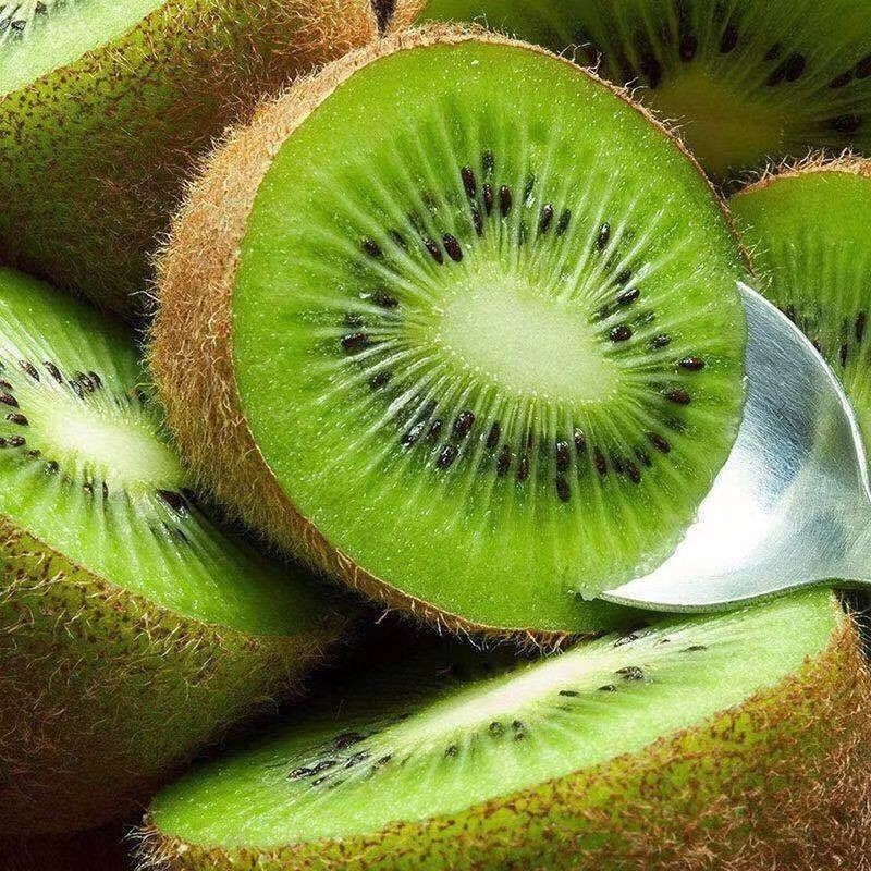 Wholesale Kiwi Crisp 500g Kiwi Fruit Dried Kiwi Snacks
