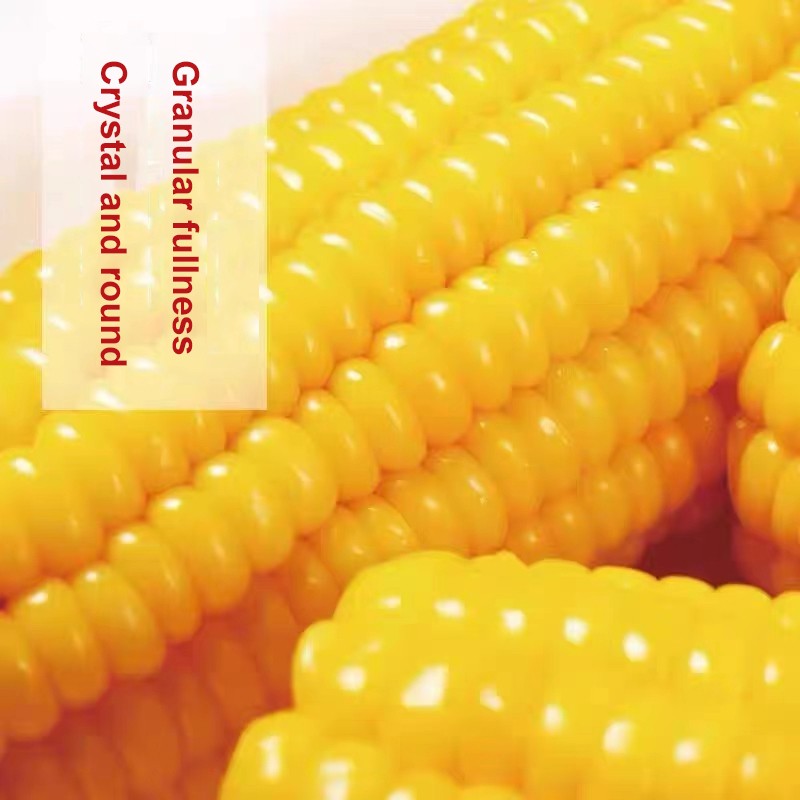 Vacuum Packing Sweet Corn Stick Wholesale Price Soft Glutinous Fresh Sweet Corn Stick