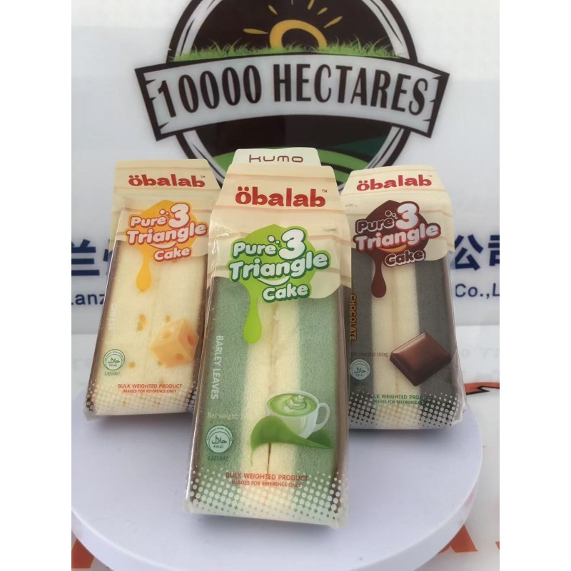 Fresh Triangle Style Sponge Cheese Cake