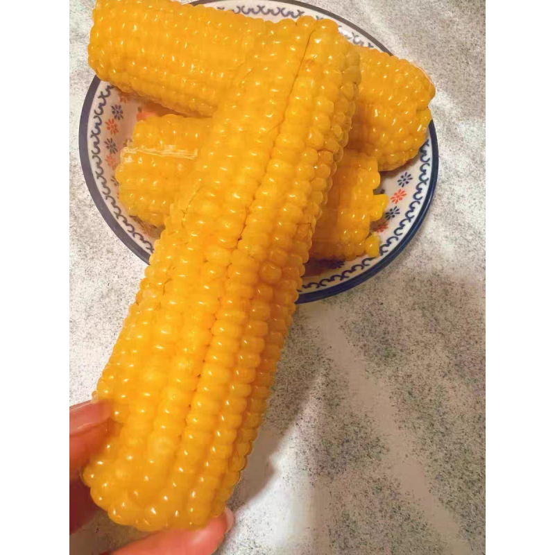 Vacuum Packing Sweet Corn Stick Wholesale Price Soft Glutinous Fresh Sweet Corn Stick