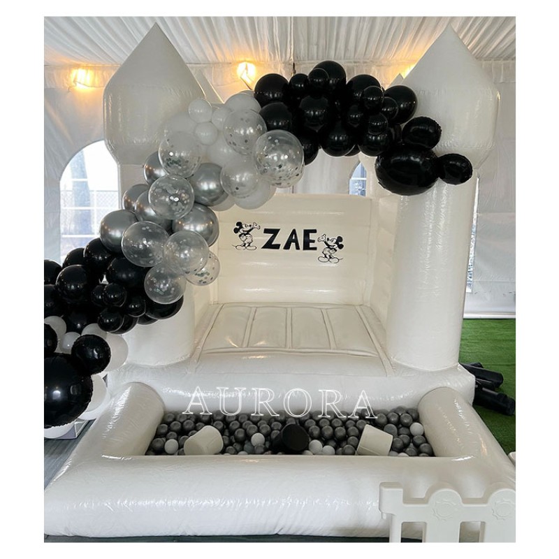 Bounce House Factory - PVC Inflatable Slide Ball Pool with Blower