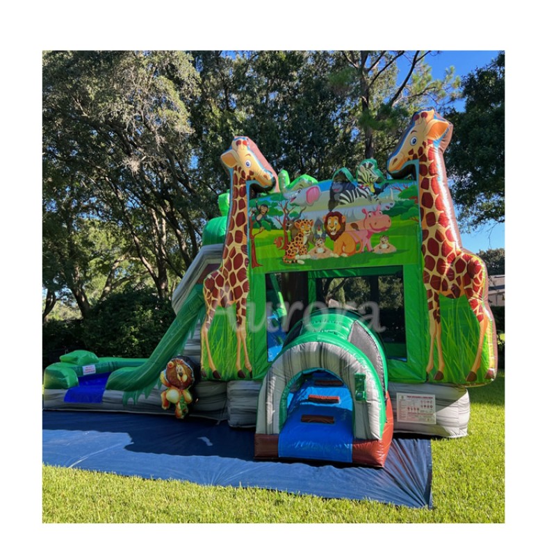 Jumping Castle Manufacturer - Outdoor Inflatable Castle Combo Slide