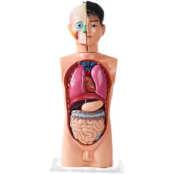 Science Toys Supplier - Moetry Preschool Science Educational Toys