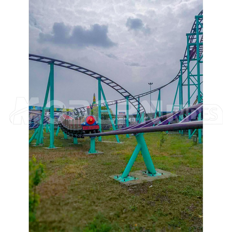 Roller Coaster Supplier - Fixed Type Family Roller Coaster