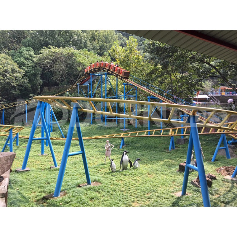 Roller Coaster Supplier - Fixed Type Family Roller Coaster