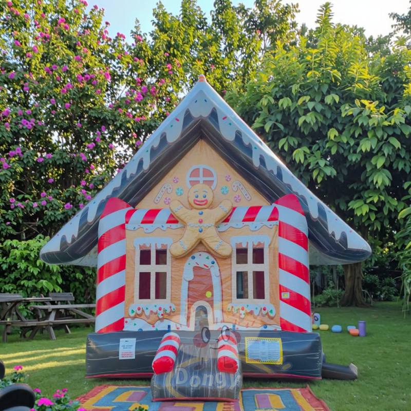 Inflatable Bounce House Factory - 4x5M Water Slide Combo Durable for Kids