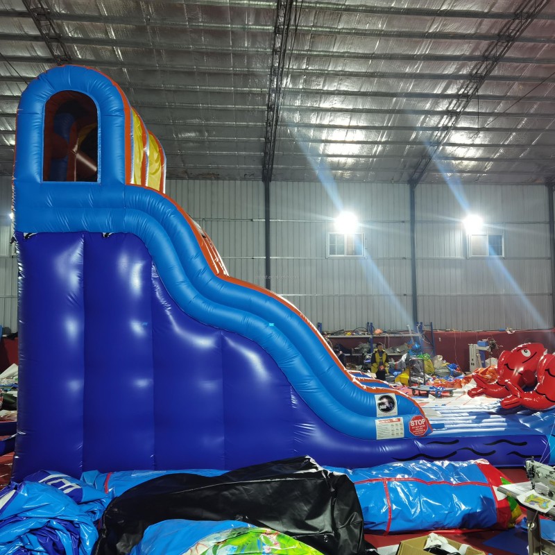 Inflatable Bouncy Castle Supplier - PVC Octopus Double Slide for Outdoor Parks