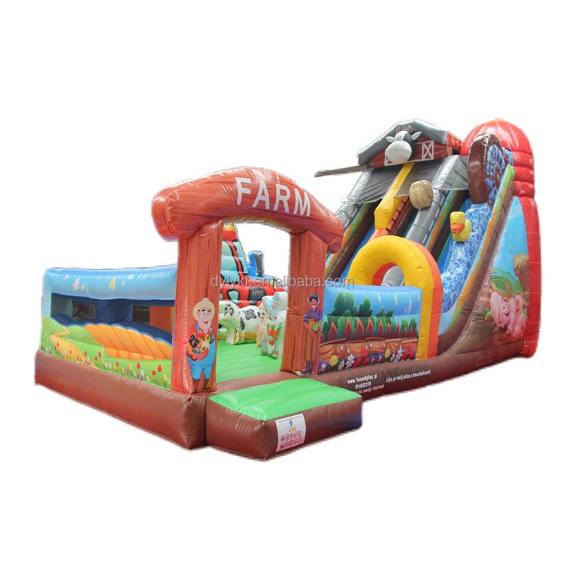 Inflatable Bouncy Castle Manufacturer - PVC Cartoon Slide Combo for Sports Park