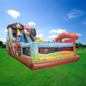 Inflatable Bouncy Castle Manufacturer - PVC Cartoon Slide Combo for Sports Park
