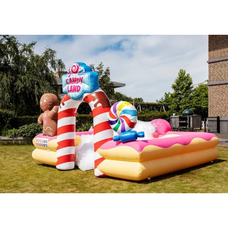 Inflatable Jumping Castle Manufacturer - PVC Indoor/Outdoor Play for Living Room