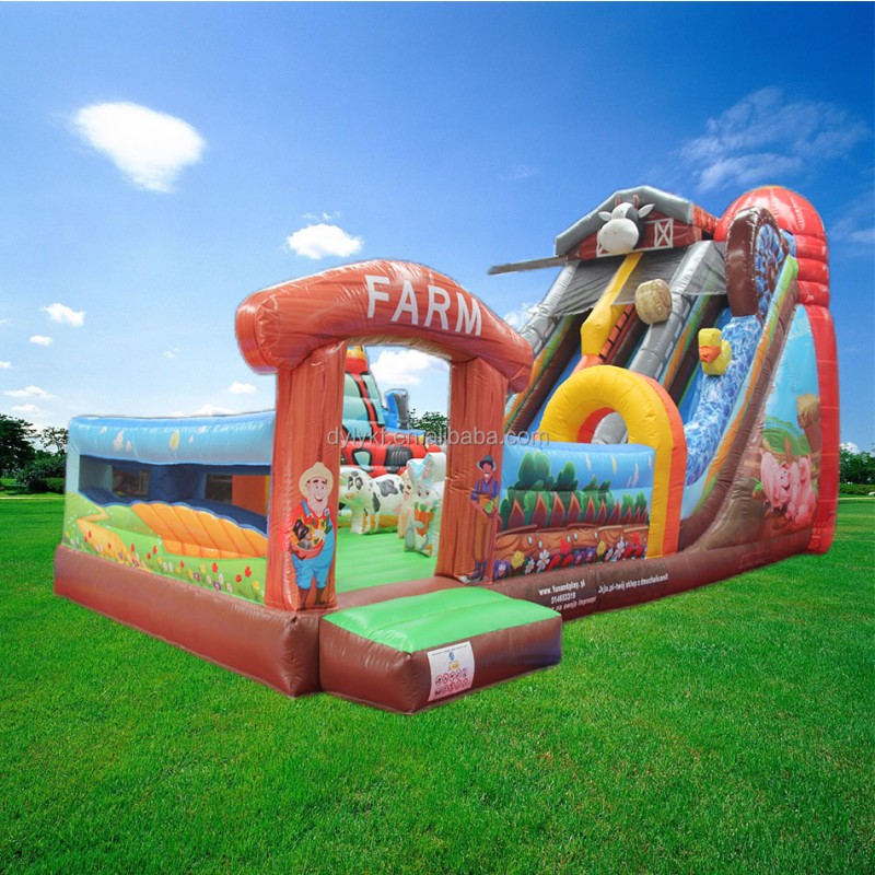 Inflatable Bouncy Castle Manufacturer - PVC Cartoon Slide Combo for Sports Park