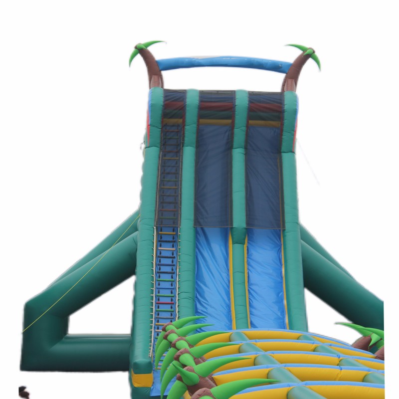 Inflatable Bouncy Castle Manufacturer - PVC Double Slide for Shopping Mall