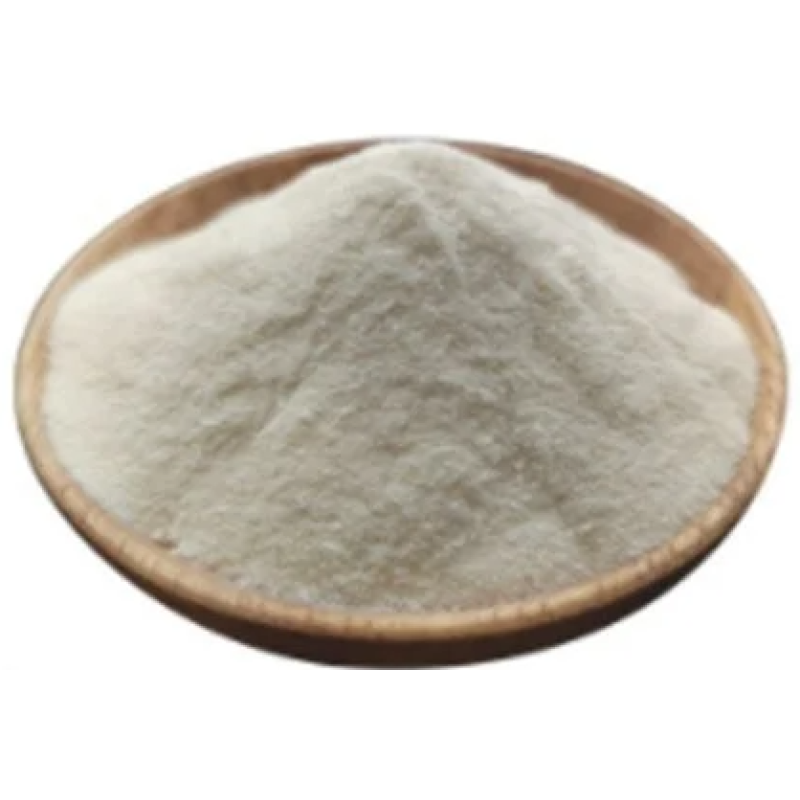 High Quality Lactobacillus Plantarum 10 Billion Cfu Probiotics Powder