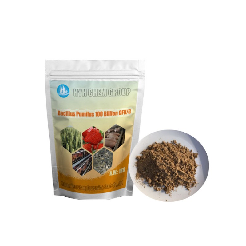 Probiotics Supplier Bulk Bacillus Pumilus Probiotics