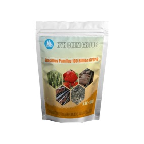 Microorganism Probiotics 10 Billion CFU/g Bacillus Pumilus