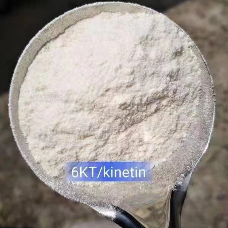 Plant Growth Regulator Cytokinin 6-Furfuryladenine 6KT Kinetin 99% Plant Hormone 6KT Cytokinin Kinetin 99% TC CAS 525-79-1