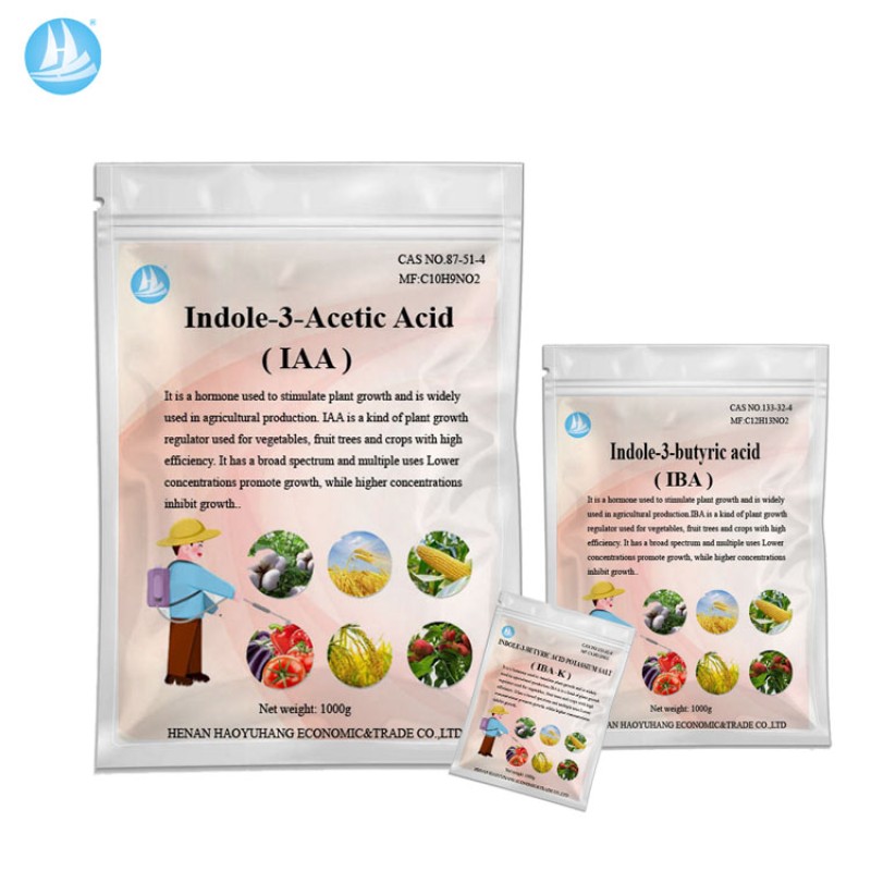 Auxin IBA IAA IBA-K 98% for Agriculture Indole-3-butyric Acid Plant Growth Regulator