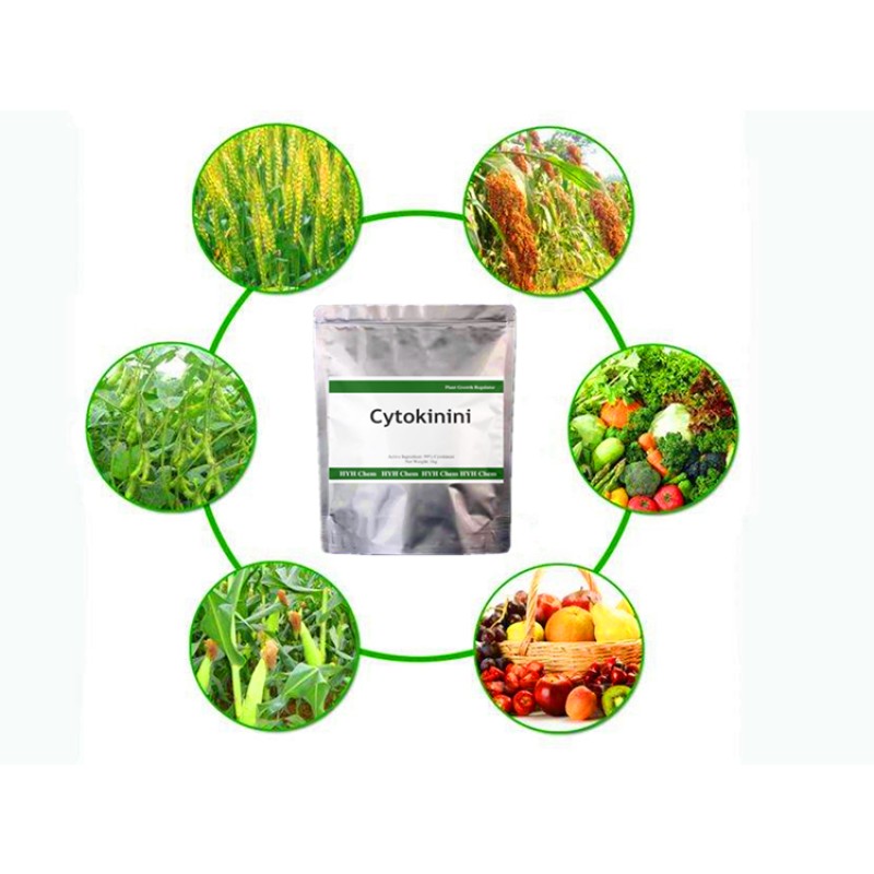 Plant Growth Regulator Cytokinin 6-Furfuryladenine 6KT Kinetin 99% Plant Hormone 6KT Cytokinin Kinetin 99% TC CAS 525-79-1