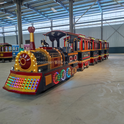 Trackless Train Manufacturer - Adults Indoors Tourist Electric Outdoor