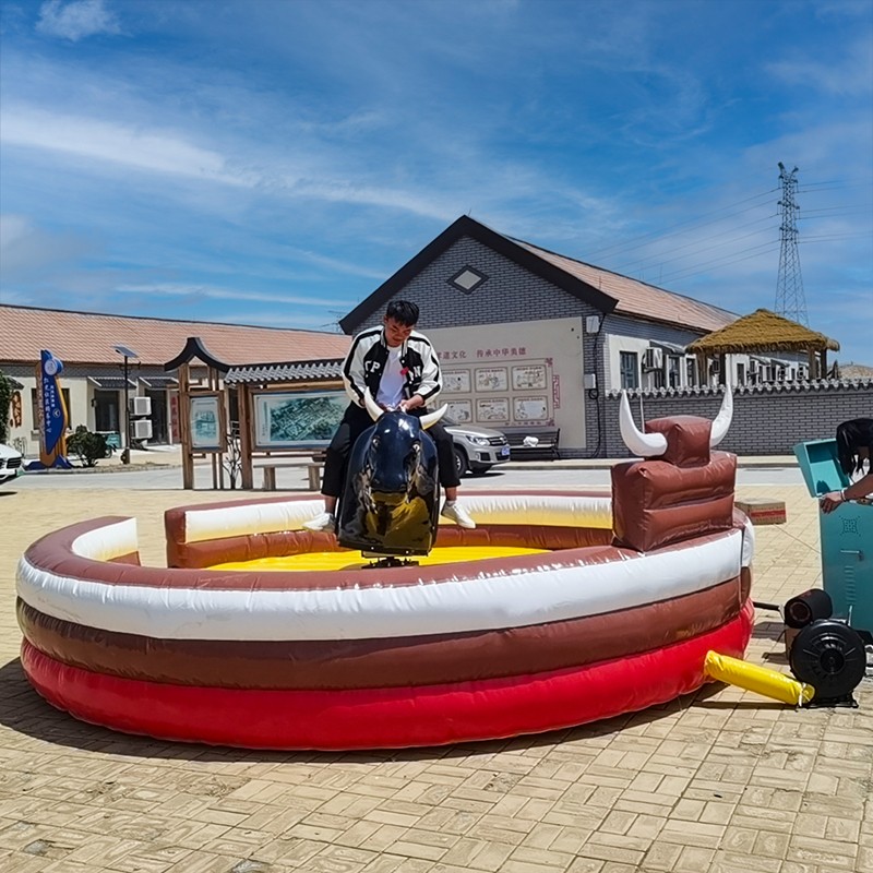 Bull Ride Equipment Supplier - Kids China Adults Bull Ride Machine