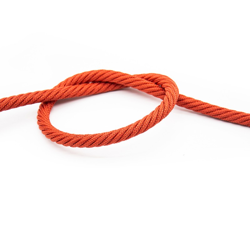 Braided Rope Supplier - High Quality 6 Strand Braided Various Colors