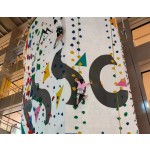 Climbing Wall