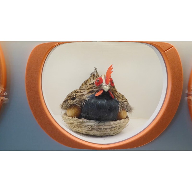 Indoor Playground Set Manufacturer - Children's Playground Equipment