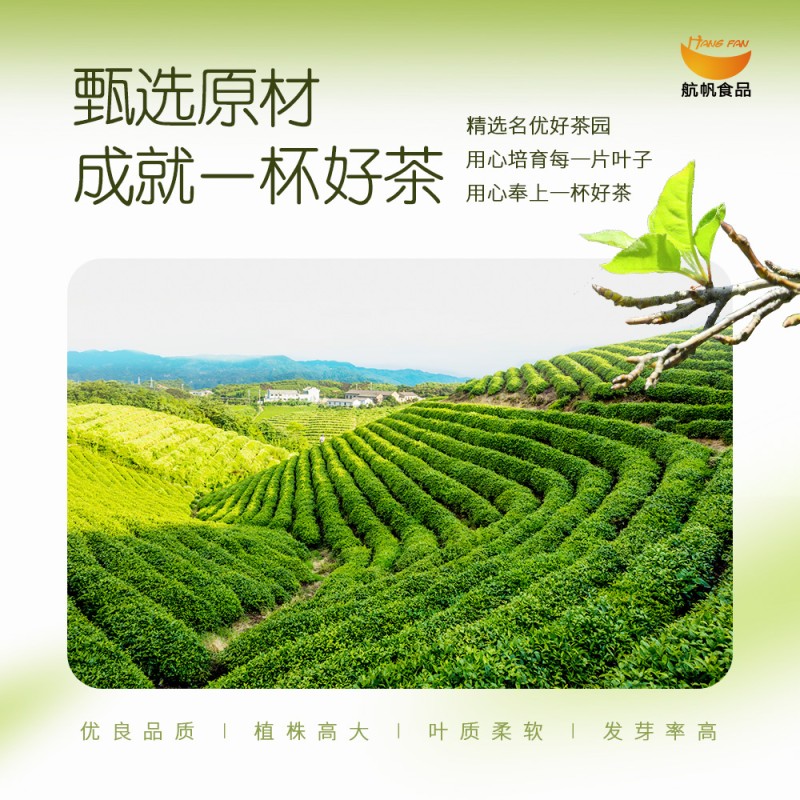 Factory Lowest Price for Sale 0.5KG High Quality Green Tea Tapioca Tea Boba Bubble Milk Tea