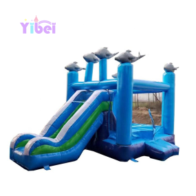 Inflatable Castle Factory - Factory Direct 0.55mm PVC Castle