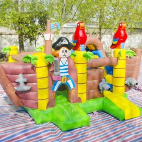 Inflatable Castle Manufacturer - Commercial PVC Bounce House Christmas