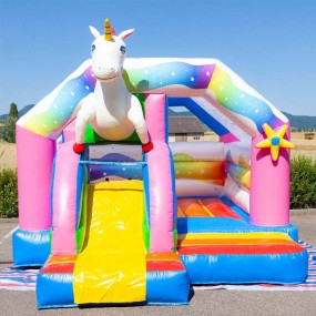 Small Custom Factory - Small Custom Color Inflatable Bouncy