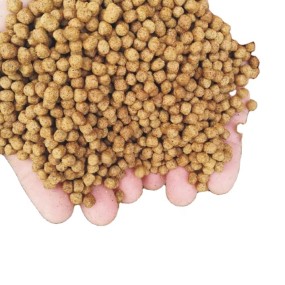 38% Protein Trout Feed