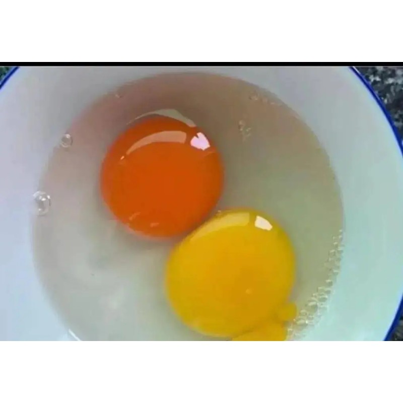 Natural Plant Marigold Extract That Changes the Color of Egg Yolk