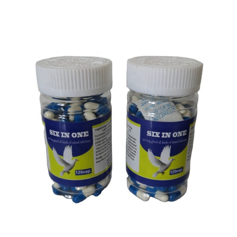 Six in One Immune Booster Supplements for Birds Premium Pigeon Chicken Feed Additives