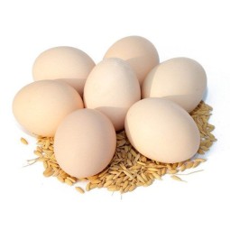 Composite Laying Hen Premixes of Different Specifications