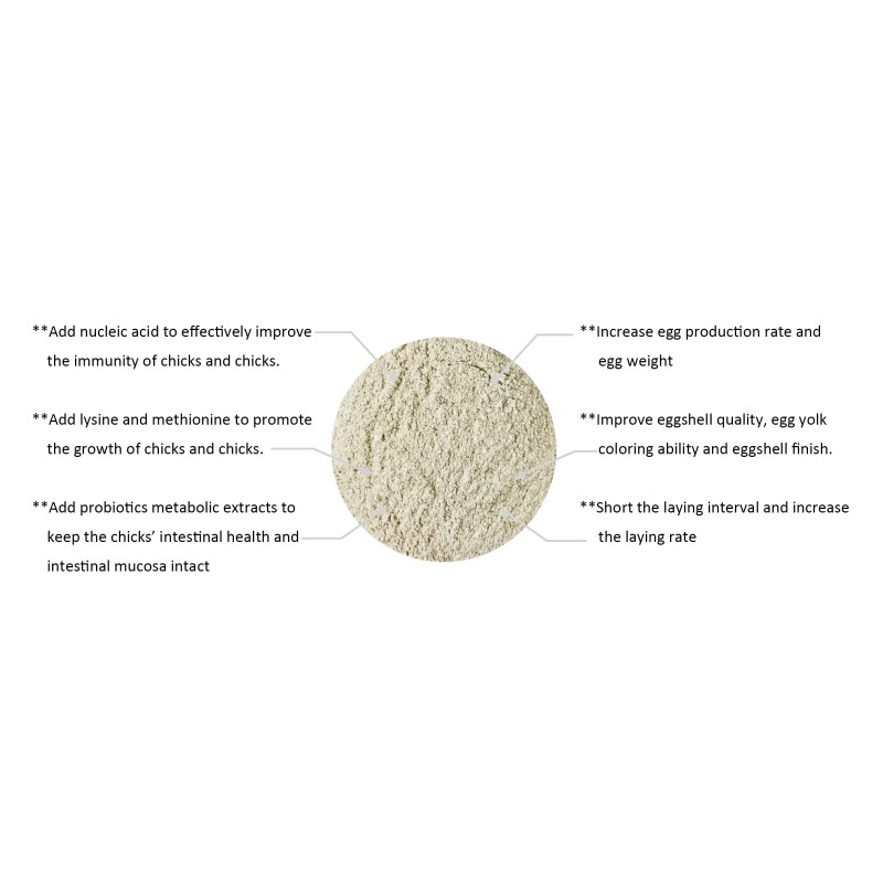 Manufacturer's Best Quality Animal Feed Additive Economical Duck Premix for Pig Cattle Increases Egg Production Good Price