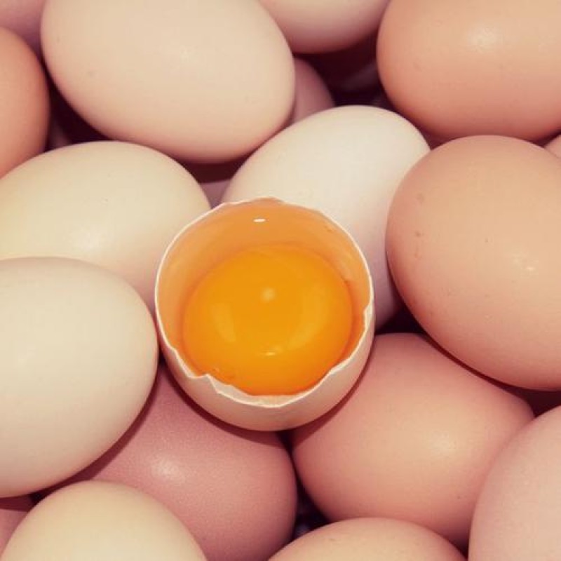 Improve Feed Digestion Absorption Rate Increase Eggs Weight Improve Immunity Fast Growth Poultry Chicken Layer Feed