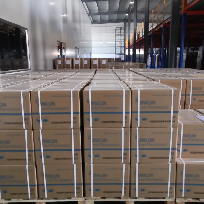 Six in One Immune Booster Supplements for Birds Premium Pigeon Chicken Feed Additives