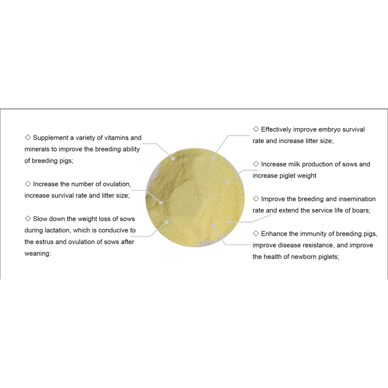 Hot Sale High Quality Premix Feed Additives for Poultry Vitamins Enzymes Amino Acids in Powder Form