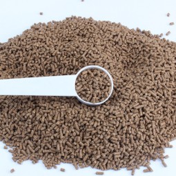 Tilapia Fish Feed