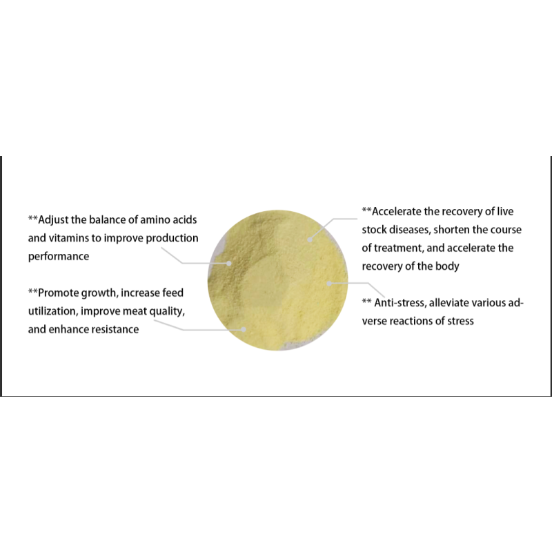 Livestock Feed Additive for Beef Cattle Sheep Other Animals Growth Promoter Powder Form Improves Animal Performance Growth