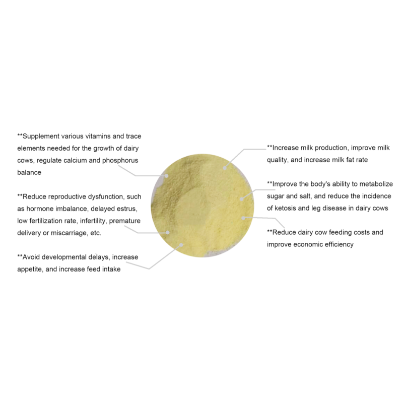 Poultry Feed Vitamin Premix for Cow